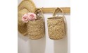HYKITDAY 2 PCS Wall Hanging Storage Baskets Woven Seagrass Plant basket Small Decorative Baskets Suitable for plant basket and Home Decoration - BXG44HOYW