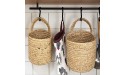HYKITDAY 2 PCS Wall Hanging Storage Baskets Woven Seagrass Plant basket Small Decorative Baskets Suitable for plant basket and Home Decoration - BXG44HOYW