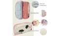 Large Capacity Cute Pen Pencil Case Kawaii Stationery Pouch For Middle High School Office College Student Girl Women Adult Teen Gift - BVUBJ6511