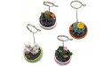 ODDIER 4pcs Mini Plant Reserved Number Clip Name Note Memo Stand Office Supply Home Decoration Small Clamps Stand - BGUS0WN3P